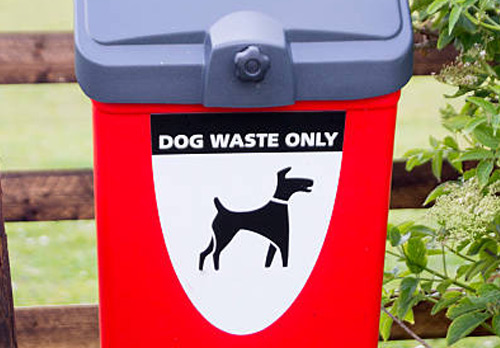Red dog waste bin